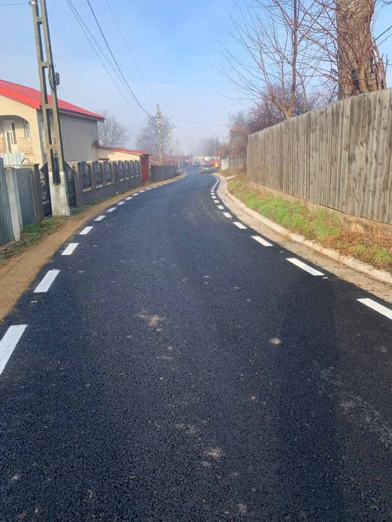 Detaliu al drumului în Poiana
